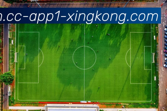 星空体育APP 体育赛事宣传图